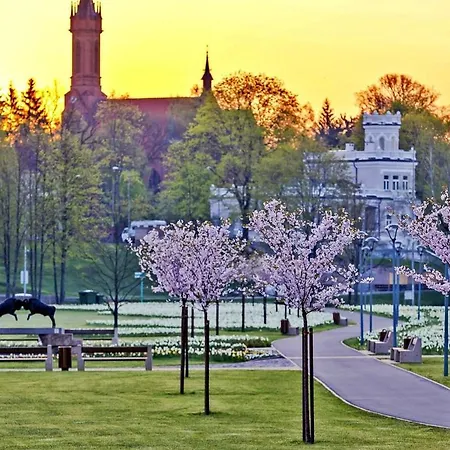 Drusk Sun Apartment *