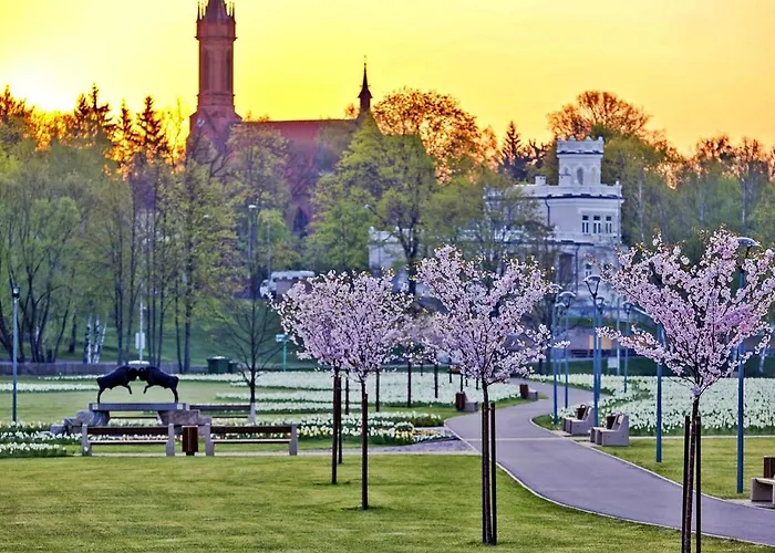 Drusk Sun Lejlighed *