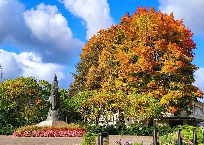 Drusk Sun Apartament Druskieniki