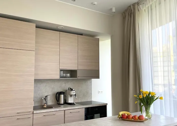 Drusk Sun Apartament